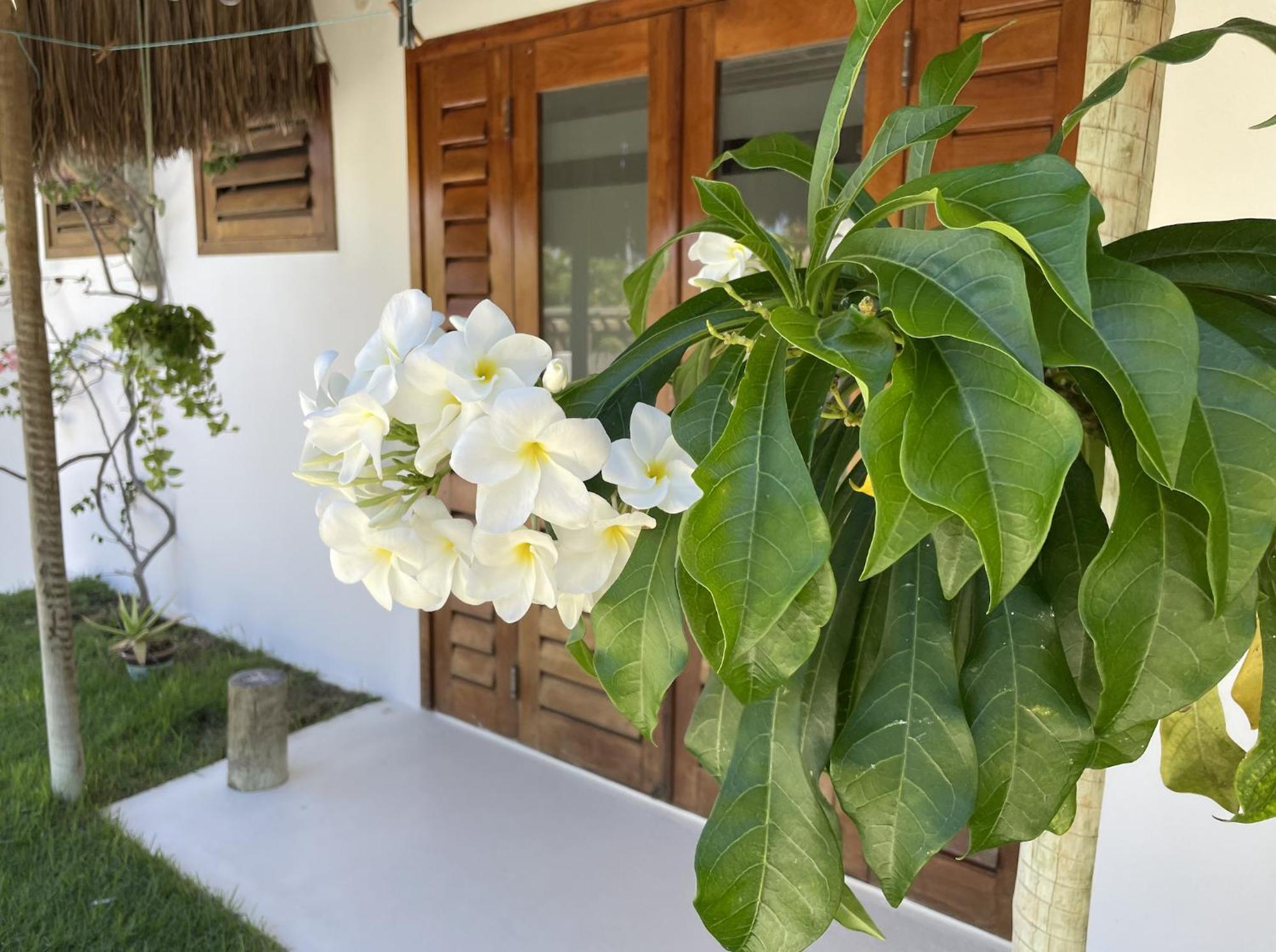 Villa Caribou Icarai  Exterior photo